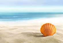 愿时空云纪，成为每一份思念的归宿